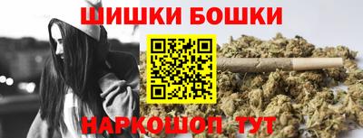 Альфа ПВП Будённовск