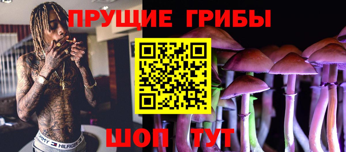 Галлюциногенные грибы мухоморы Норильск